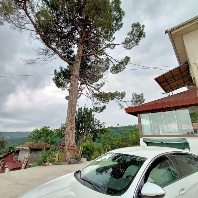 Villa Nizzy House Tas Ev Ordu